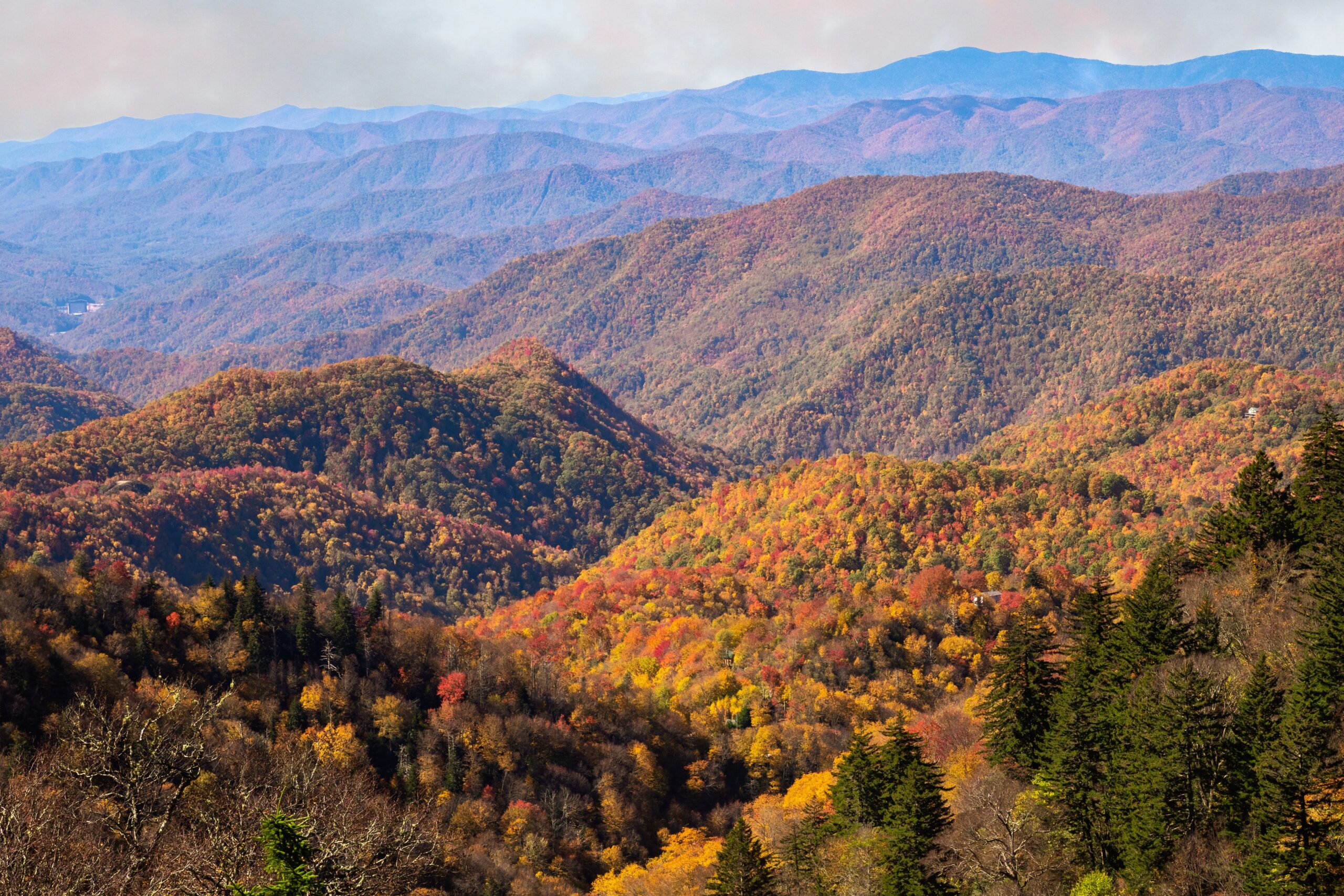 4 Things To Do in North Carolina This Fall