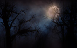 Spooky Moon in Forest Night | Most Haunted: North Carolina