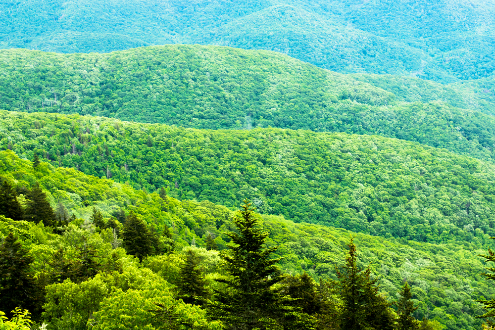 Great Smoky Mountains in North Carolina